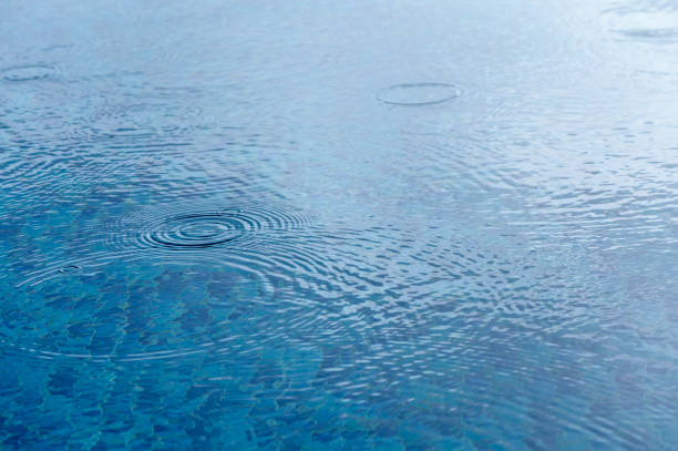 Raindrops in puddle.