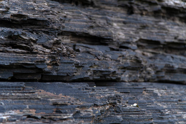 geological pattern of sedimentary rock for background