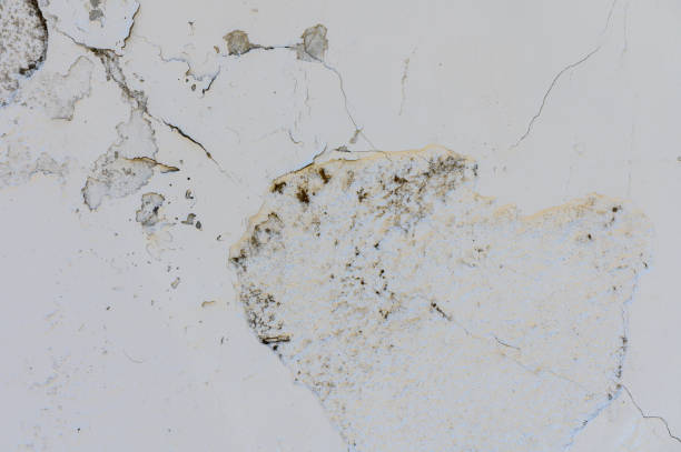 istock Ancient wall with peeling plaster. Old concrete wall, panoramic textured background 2158978275