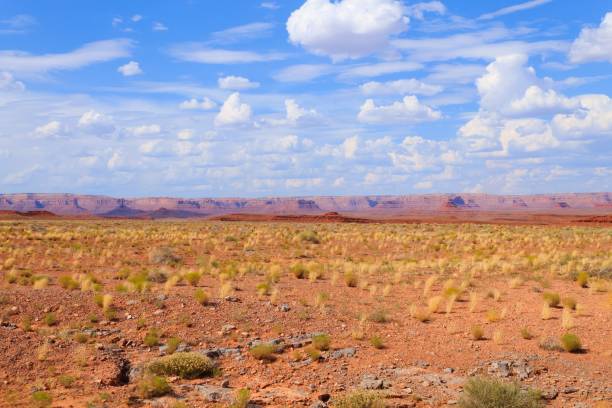 istock Desert landscape from Arizona, USA 2158979786
