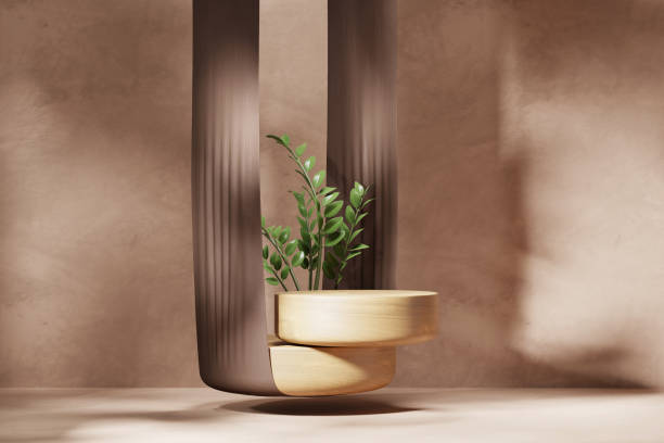 3D rendering brown platform podium with plant leaves product presentation background