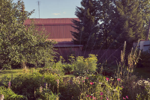 A girl walking in the swedish countryside with a basket for picking mushrooms.
