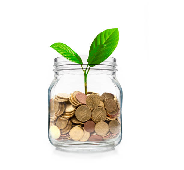 istock Young plant as a symbol of asset growth 2158982382
