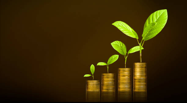 istock Young plant as a symbol of asset growth 2158982403