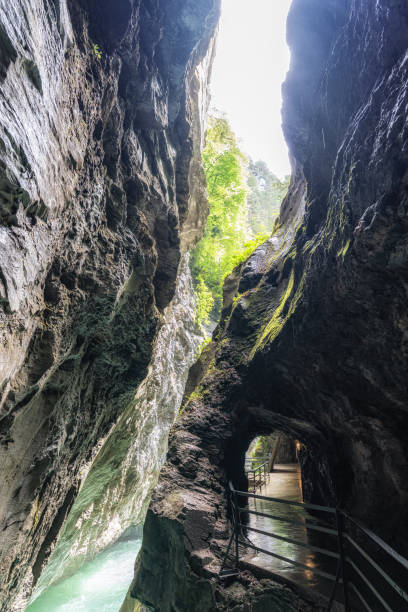 istock Aare Gorge in Switzerland 2158988730