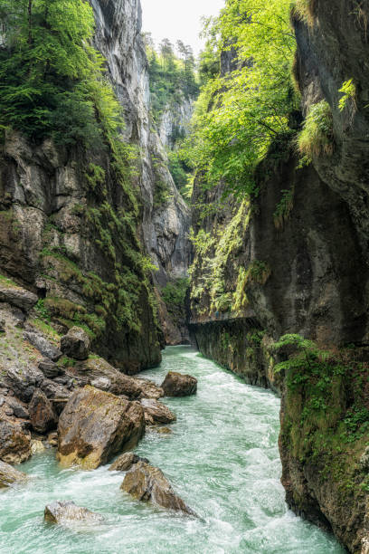 istock Aare Gorge in Switzerland 2158988816