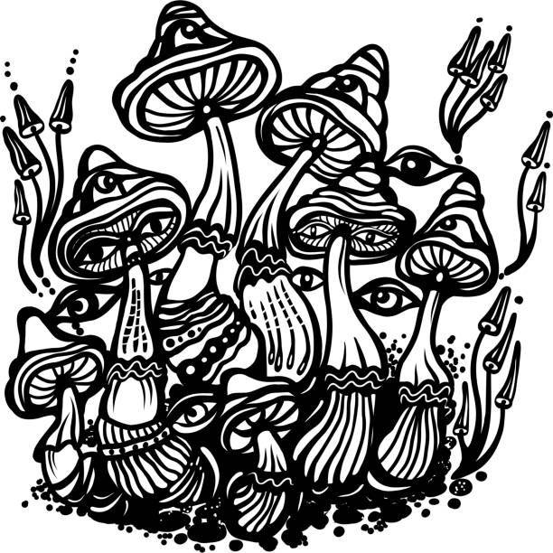 istock Fantasy Magic Mushrooms Strange Fairy Tale Vector drawing of black and white graphics 2158991970