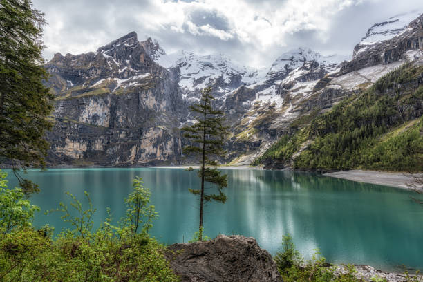 istock Tree in Oeschinensee Lake 2158992153