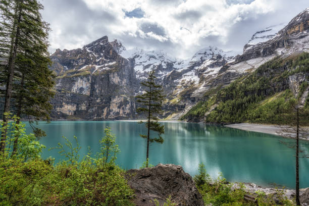 istock Tree in Oeschinensee Lake 2158992158