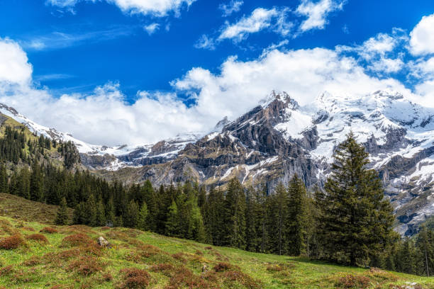 istock Oeschinensee Lake Hiking Path 2158992329