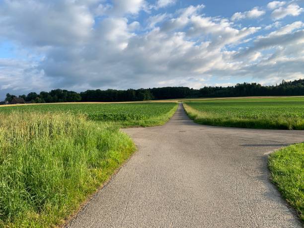 istock Crossroads on the countryside 2158995174