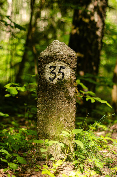 istock Moss covered Border marker at the site in the forest 2158997966