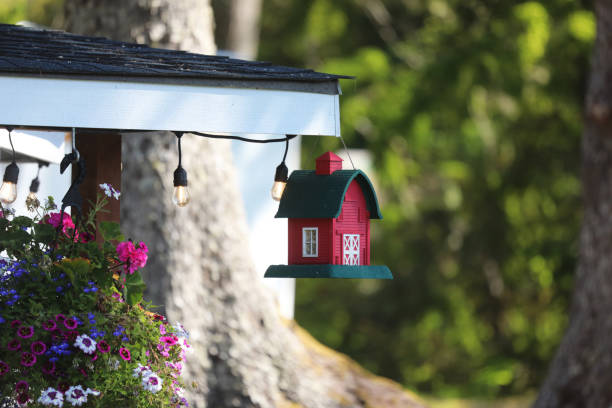 Colorful rustic wooden birdhouses in many designs and patterns hanging outdoors