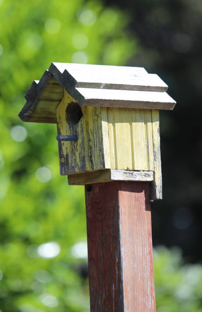 istock Colorful rustic wooden birdhouses 2159000125