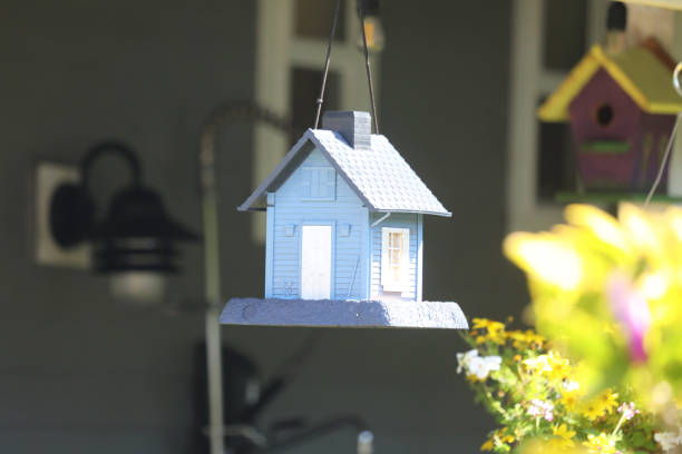 istock Colorful rustic wooden birdhouses 2159000149