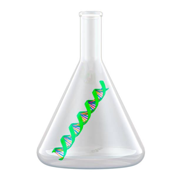 Chemical flask with DNA spiral inside. Biotechnology research, concept. 3D rendering isolated on white background