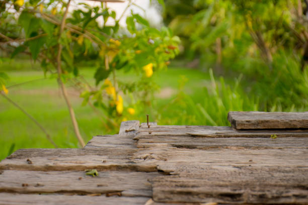 Close-up photo of wooden tabletop Blurred green rice field view