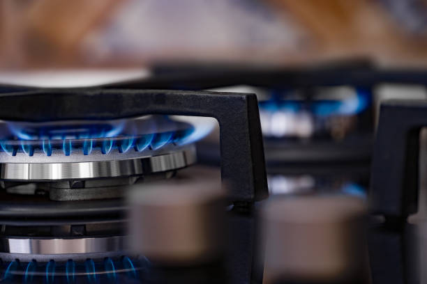Kitchen Gas Burner