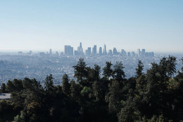 istock Landscape of Los Angeles 2159004130