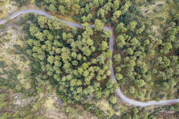 istock Forest landscape curved secondary road through the forest. Adventure and discovery 2159005683