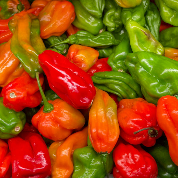 istock Red and green sweet peppers 2159007186
