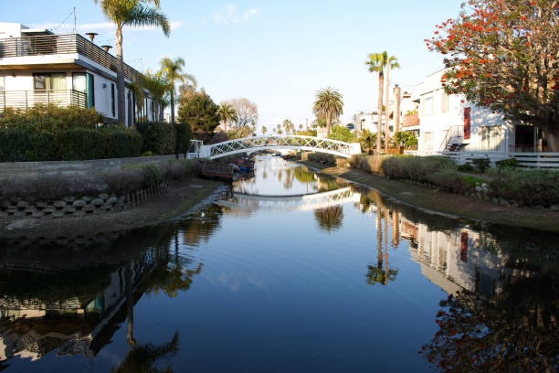 istock Little Venice in LA 2159008364