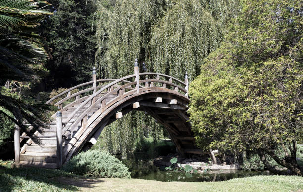 istock Bridge Wooden Gardens 2159009107