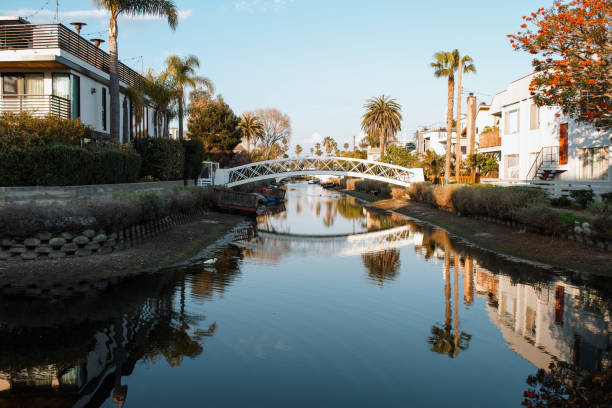 istock Little Venice in LA 2159009444