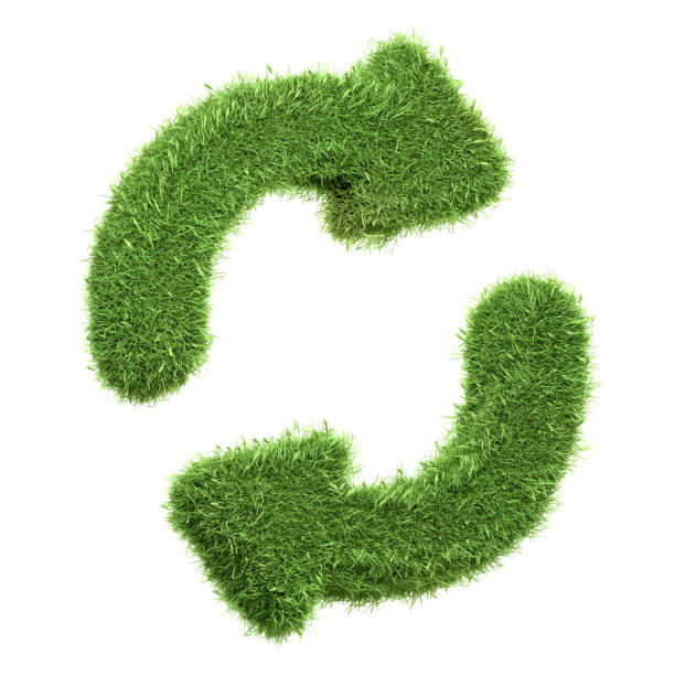 istock A refresh or reload icon made of green grass isolated on a white background, representing the concept of renewal and sustainable cycles in technology and nature 2159013220