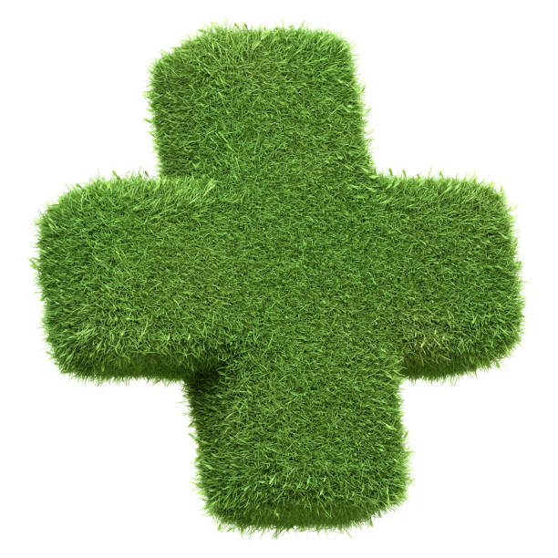 A plus sign crafted from green grass, symbolizing positive growth and natural addition, isolated on a white background. 3D render illustration
