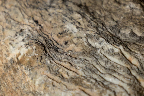 Sample of Sericite Schist, from the Archean aged Barberton region. Schist is metamorphic rock caused by pressure during medium grade metamorphism.