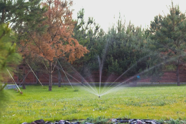 istock Automatic lawn watering system. Sprinkler, Water spashes on green grass. 2159020379