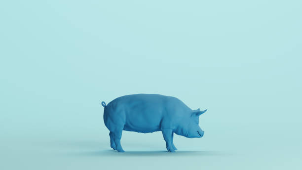 istock Blue pig piggy hog pork sculpt soft tones pale background 2159021663