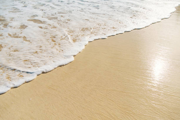 sea background