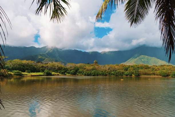 istock A lake with mountains, palm trees in the foreground 2159022000