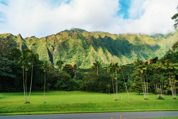 istock A road cuts through a park with distant mountains in the backdrop 2159022133