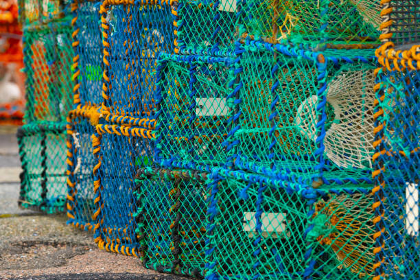 istock Lobster crates stored on land.. 2159023081