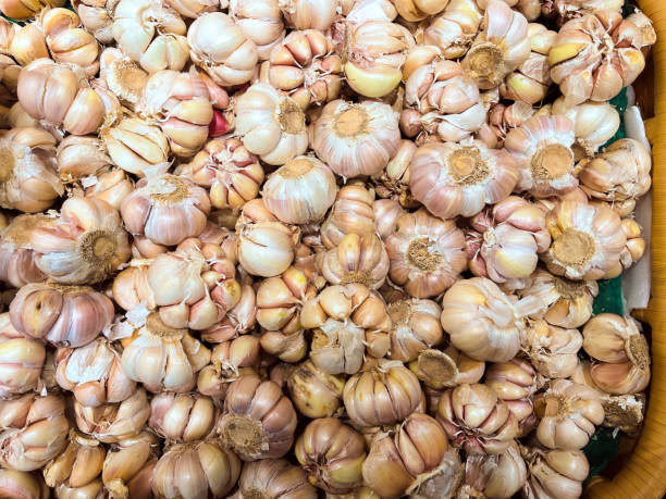 istock fresh onions sold in supermarkets 2159025401