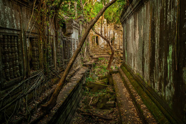 istock Beng Mealea Jungle Temple In Cambodia 2159026416