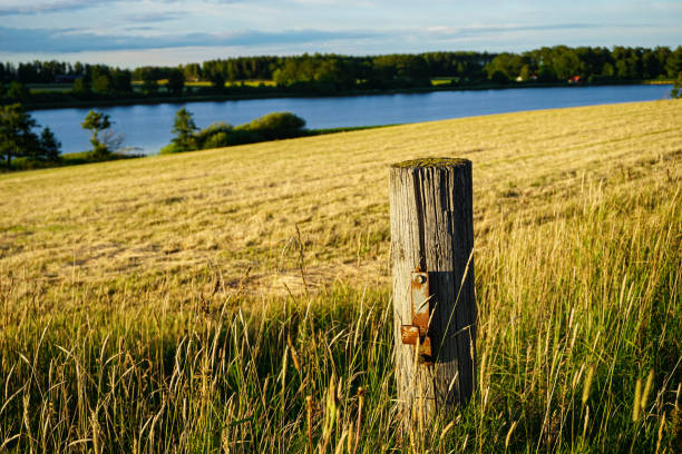 Scenic view of a field and lake during evening