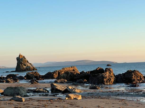 istock Bodega Bay, Pinnacle Gulch, Sonoma Coast, Sonoma County, CA 2159032916