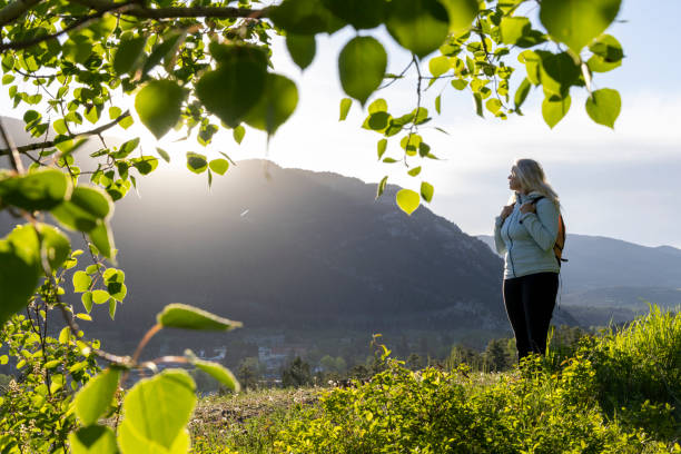 istock Mature female hiker rests in meadow 2159034206