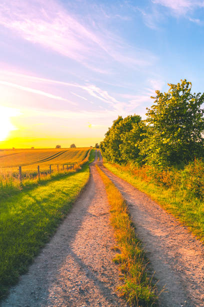 istock Rural Landscape with Winding Farm Road Through Field 2159035914