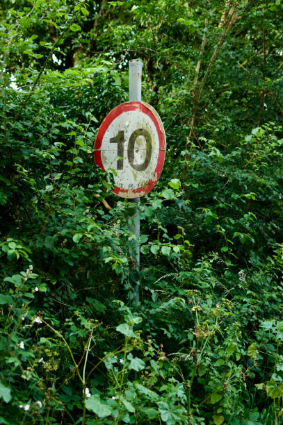 istock Old 10 Mph road sign nearly covered by greenery 2159040286