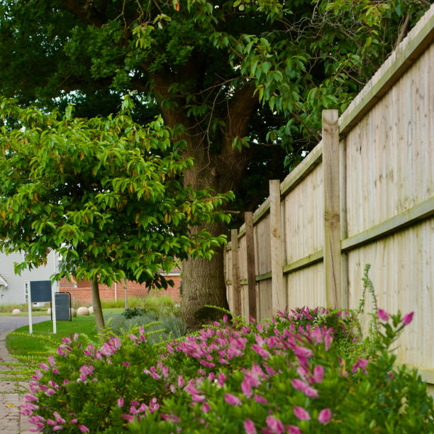 istock Pink flowers with fence and tree 2159040323