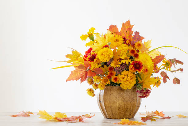 autumnal bouquet in ceramic vase on white background stock photo