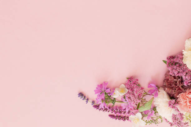 istock beautiful summer flowers on pink paper background 2159040390