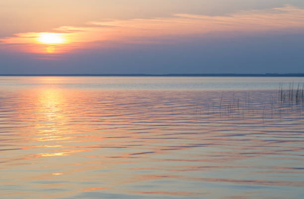 beautiful summer sunset on lake