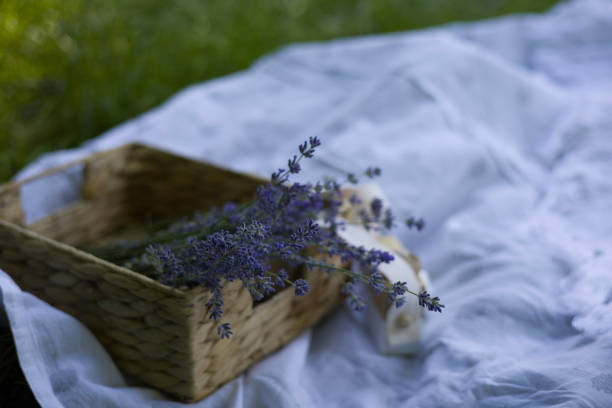 A wicker box with beautiful lavender flowers on a picnic by the river
