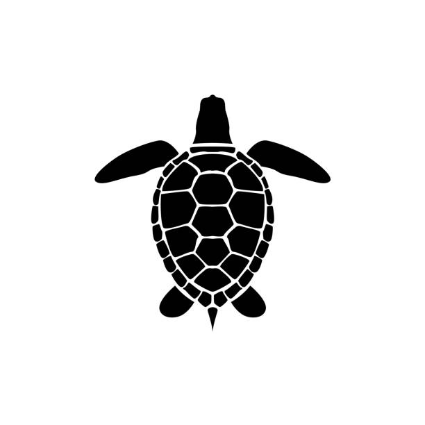 Turtle Tortoise Ocean Wildlife Animal Silhouette design logo icon Turtle Tortoise Swim Through The Ocean, Source Food and Find New Shelter For Survive From Predators While Migration Time immersed in their work stock illustrations
